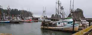 La Push harbor-7211.jpg